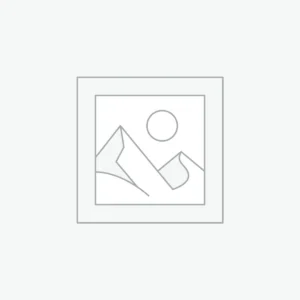 Sleeveless Waisted Dress